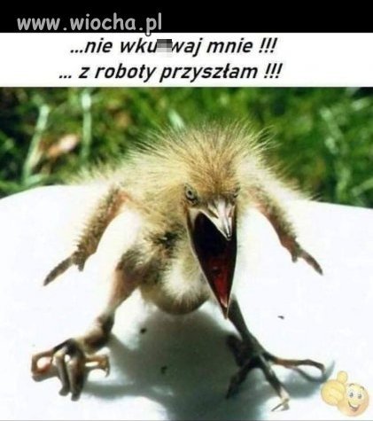 Miłego weekendu :)