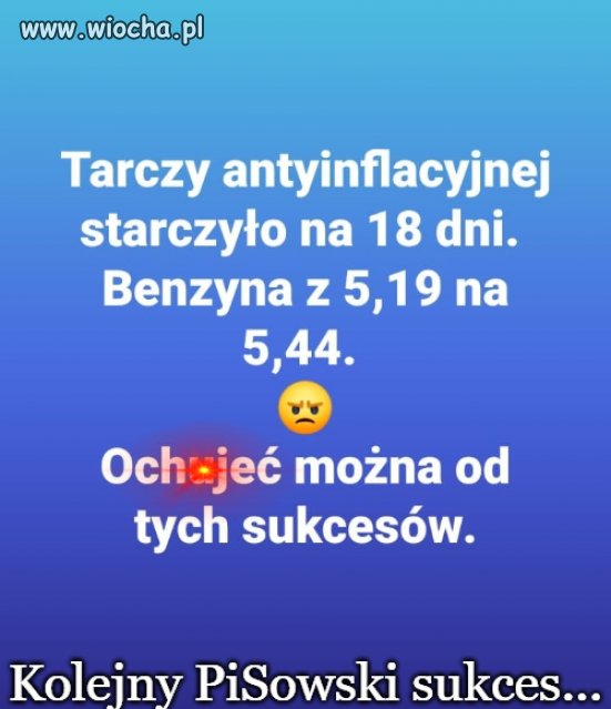 PiSowski sukces 