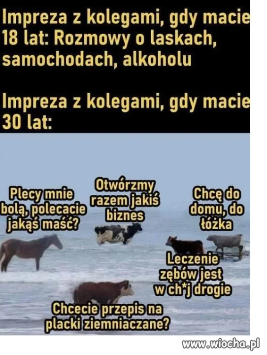 Imprezy i ich dylematy