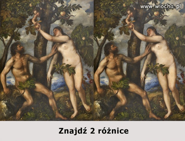 Rozkmina roku...