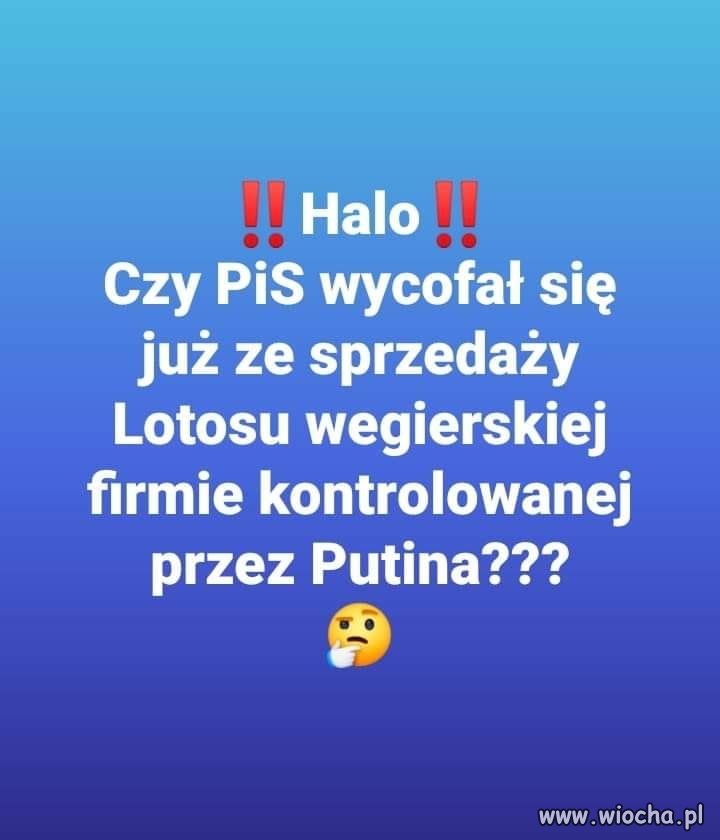 Halo! Czy PiS wycofał się ?