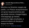 No i jeszcze ten zwierzchnik sił zbrojnych ...