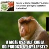 Ach to stare, tradycyjne, katolickie wychowanie!