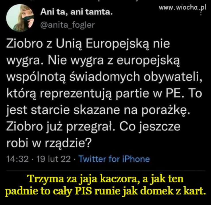 Trzyma za jaja, bo ma haki na kaczora 