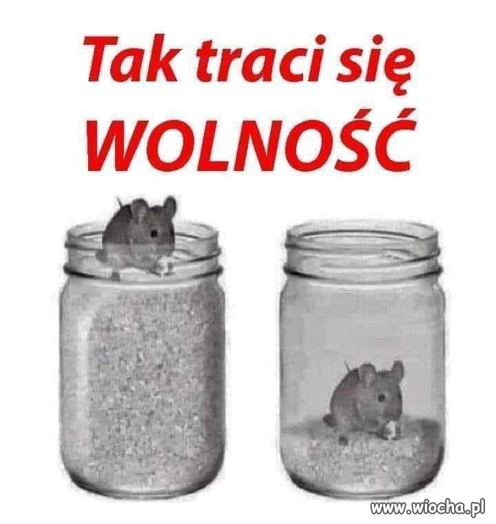 Znakomicie udokumentowane