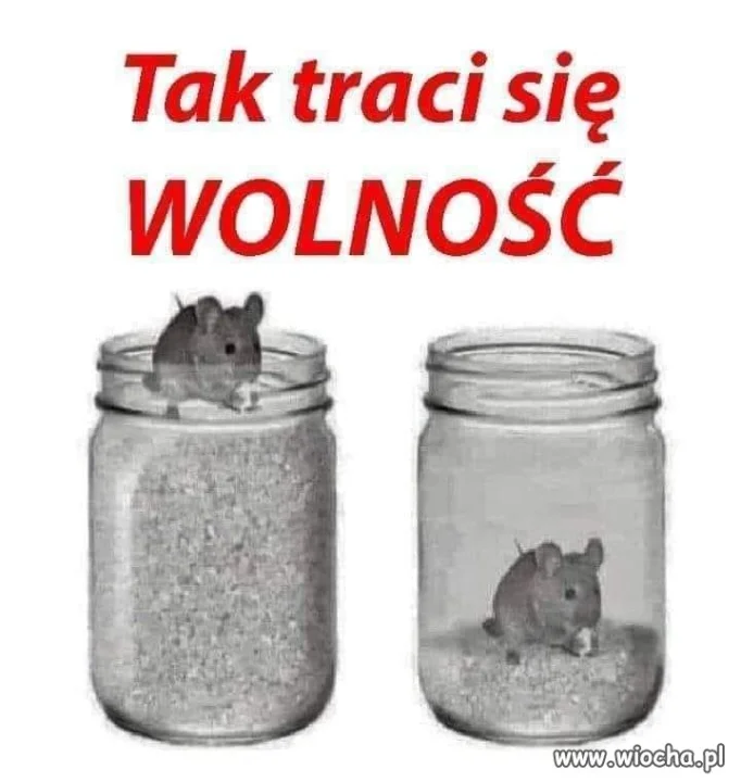 Znakomicie udokumentowane