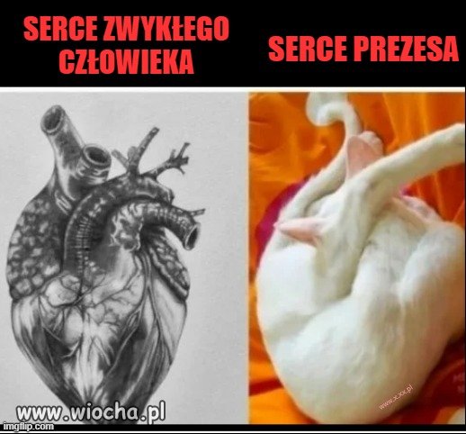 Są Walentynki,
