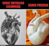 Są Walentynki,