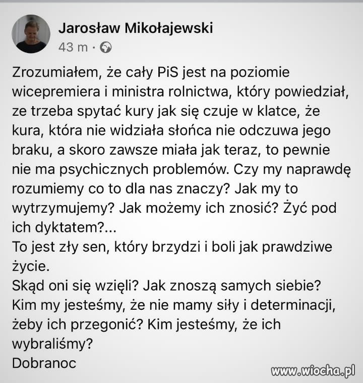 PiS ma rozum tej kury w klatce  