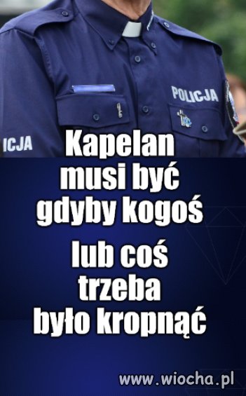Są po prostu niezbędni 