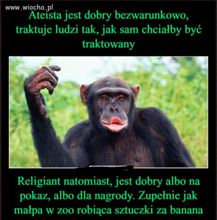 Tak przy niedzieli