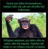 Tak przy niedzieli