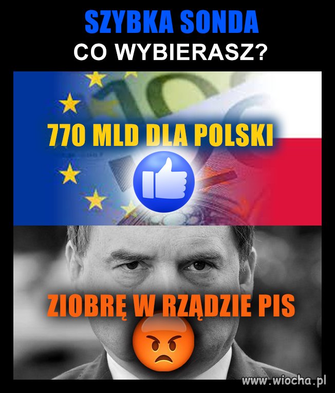 Szybka sonda 
