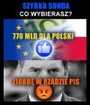 Szybka sonda 