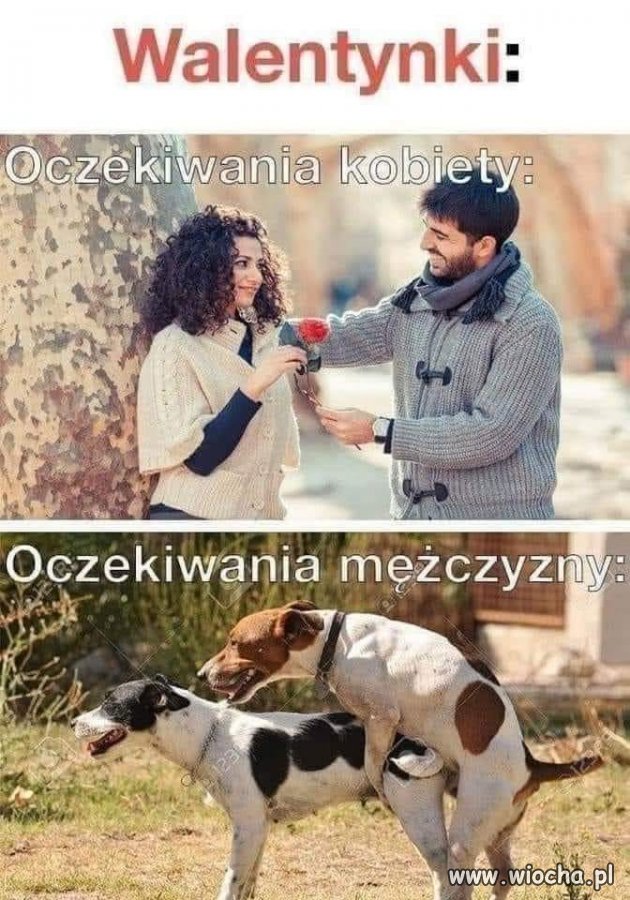 Walentynki tuż tuż