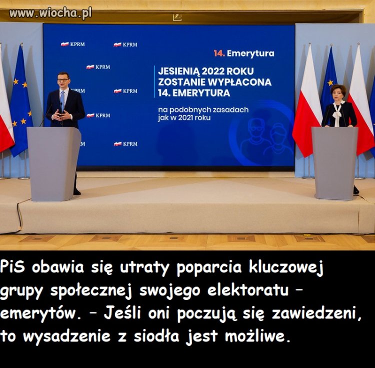 U Pisowców znowu panika