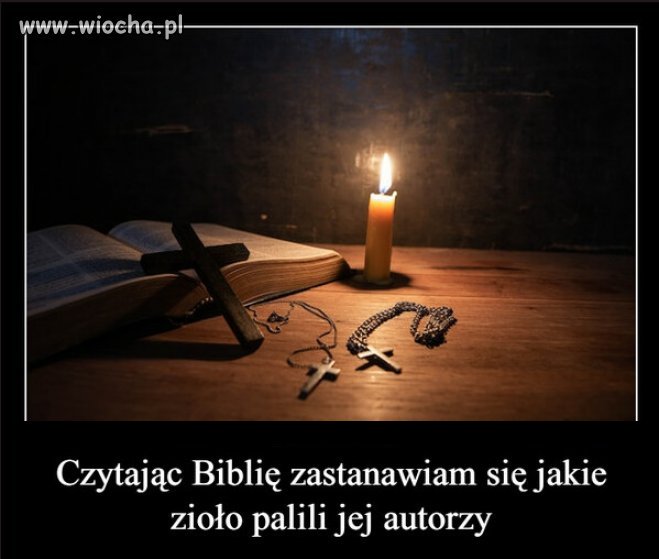 Nie szukaj w niej sensu ani logiki...
