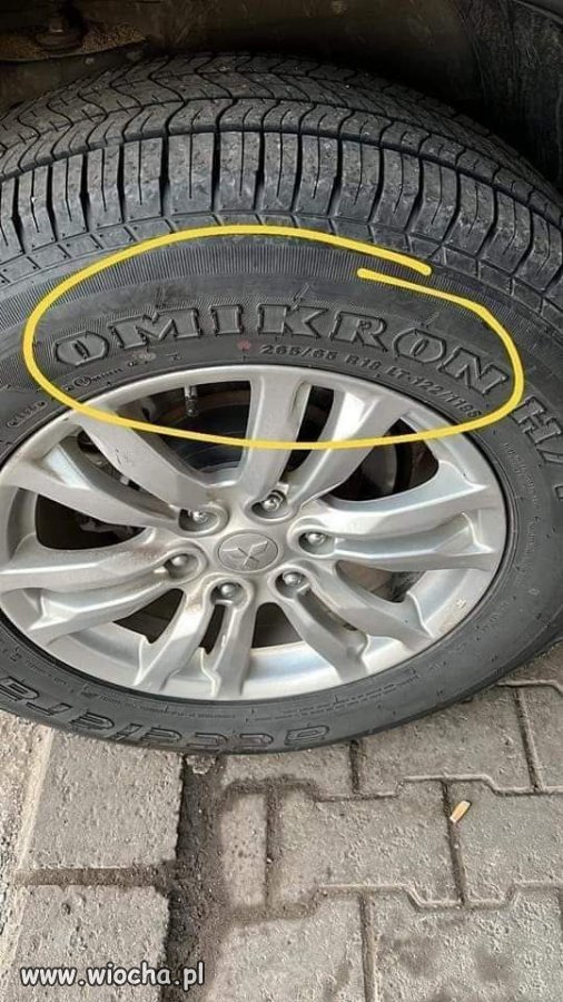 Kwarantanna u wulkanizatora murowana. 