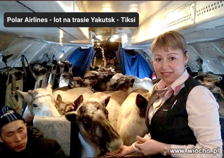 Spotkałem Mikołaja w samolocie...