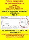 Polacy sami wpuścili lisa do kurnika, za głupotę się płaci!