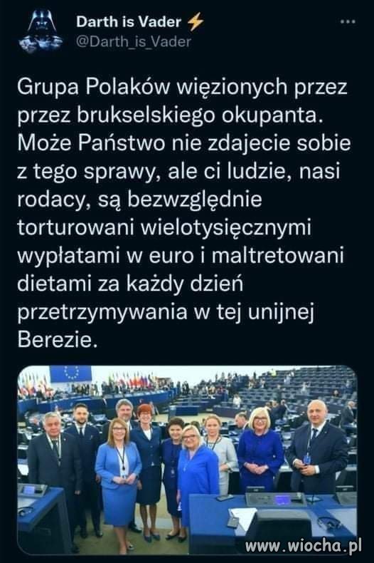 Humor