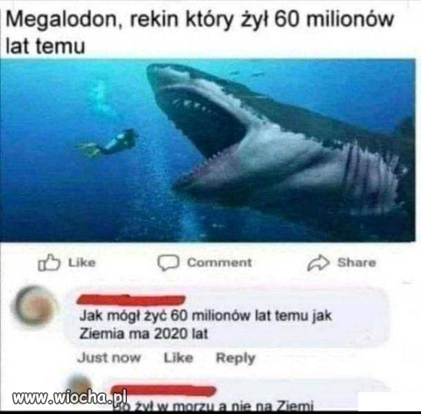 To są proste rzeczy
