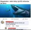 To są proste rzeczy