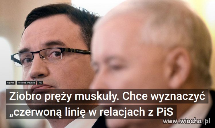 Zaczyna sie walka o kase i koryto w PiS, niech sie zagryza...