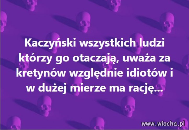 Nic dodać, nic ująć ...