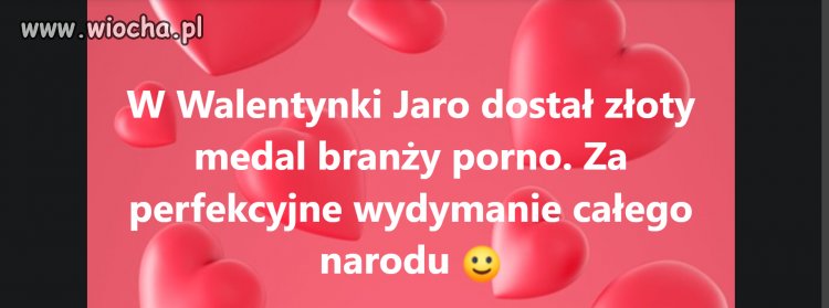 Piękne wyróżnienie dla kaczki