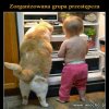 Lodowkowe rabusniki...