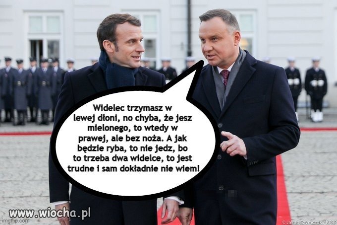 Misja  - nauczyć żabojada