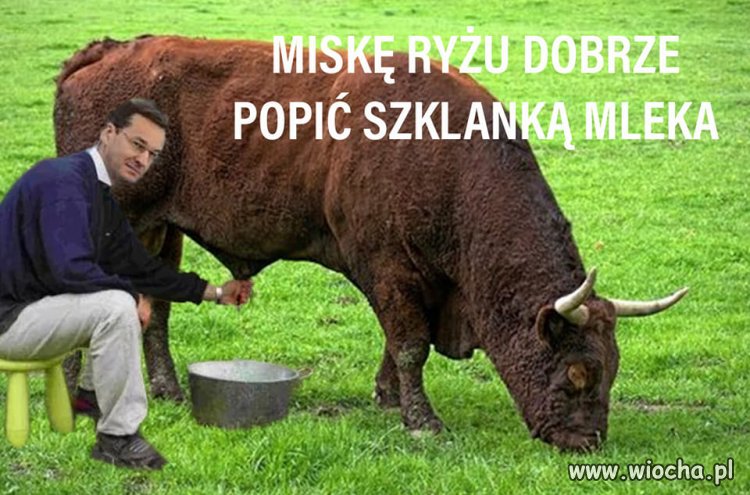 Najnowszy przekaz Matouszka do elektoratu PiS