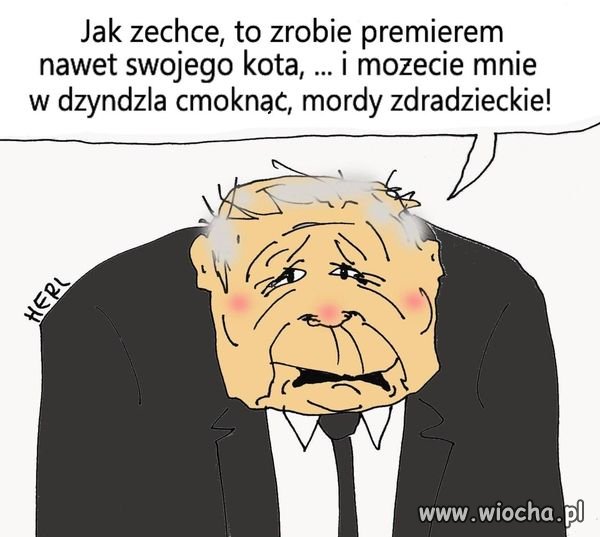 Kot na premiera 