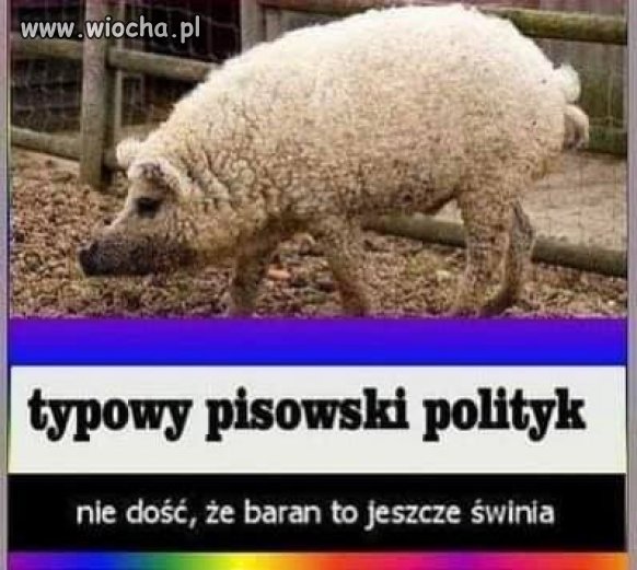 Jakby się tak temu przyjrzeć to coś w tym jest
