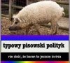 Jakby się tak temu przyjrzeć to coś w tym jest