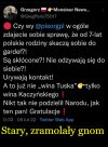 Bez tytułu 