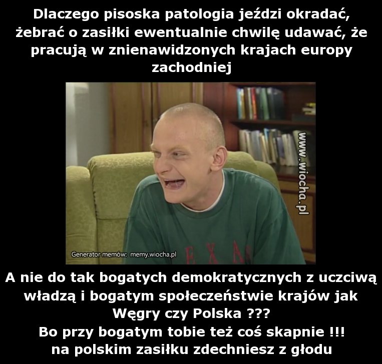 Dlaczego pisoska patologia jeździ okradać, żebrać
