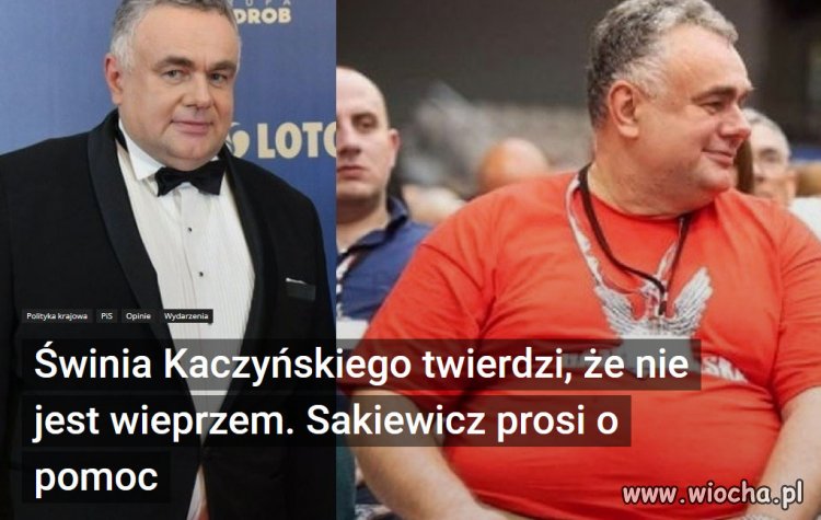 Knur prezesa!