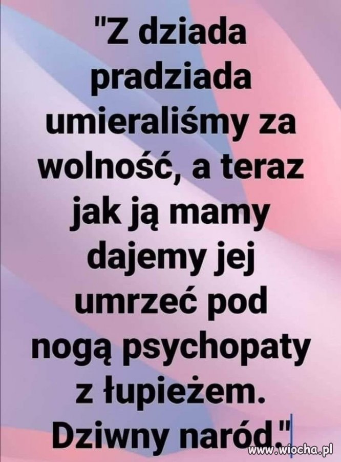 Z cyklu ''złote myśli''