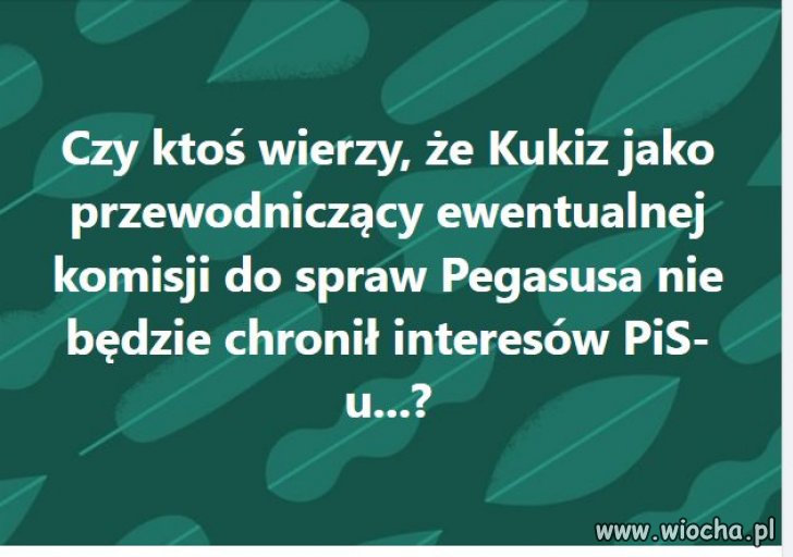 Nigdy nie wierz ... szmacie