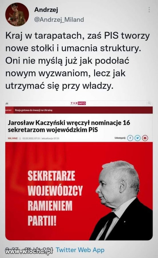 Bez tytułu. 