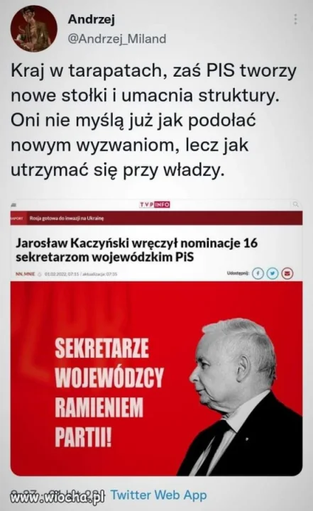 Bez tytułu. 