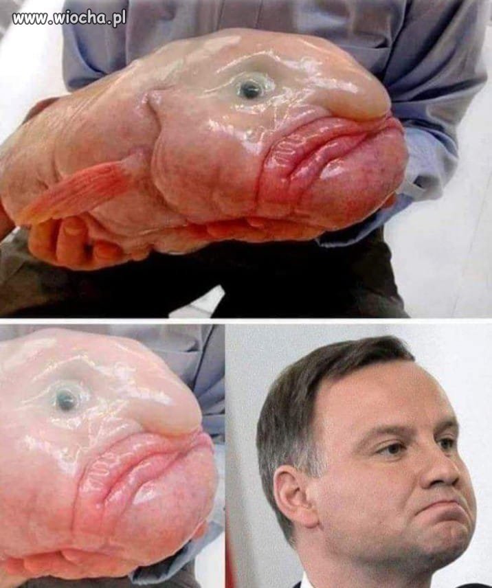 Ktoś z rodziny?