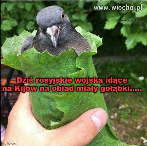 Bo pełny brzuch 