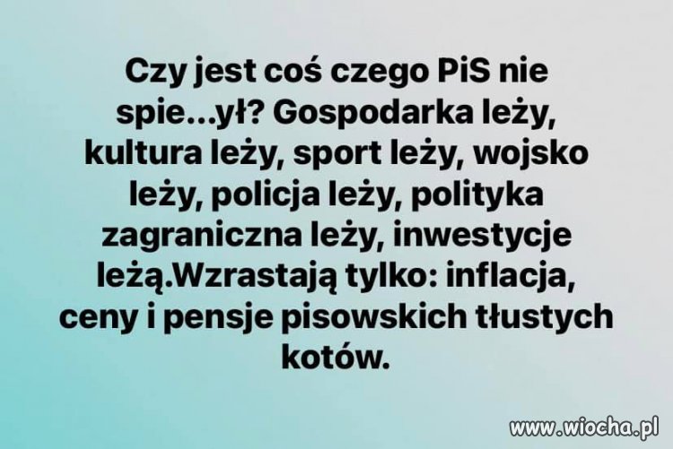 Czego się dotkną to spieprzą !
