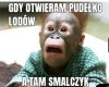 Heheszki 