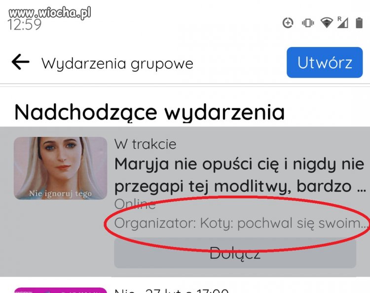 Wszystko rozumiem