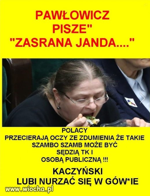 Holota PiSu nigdy nie lubila polskiej inteligencji!