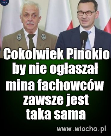 Szkodnik